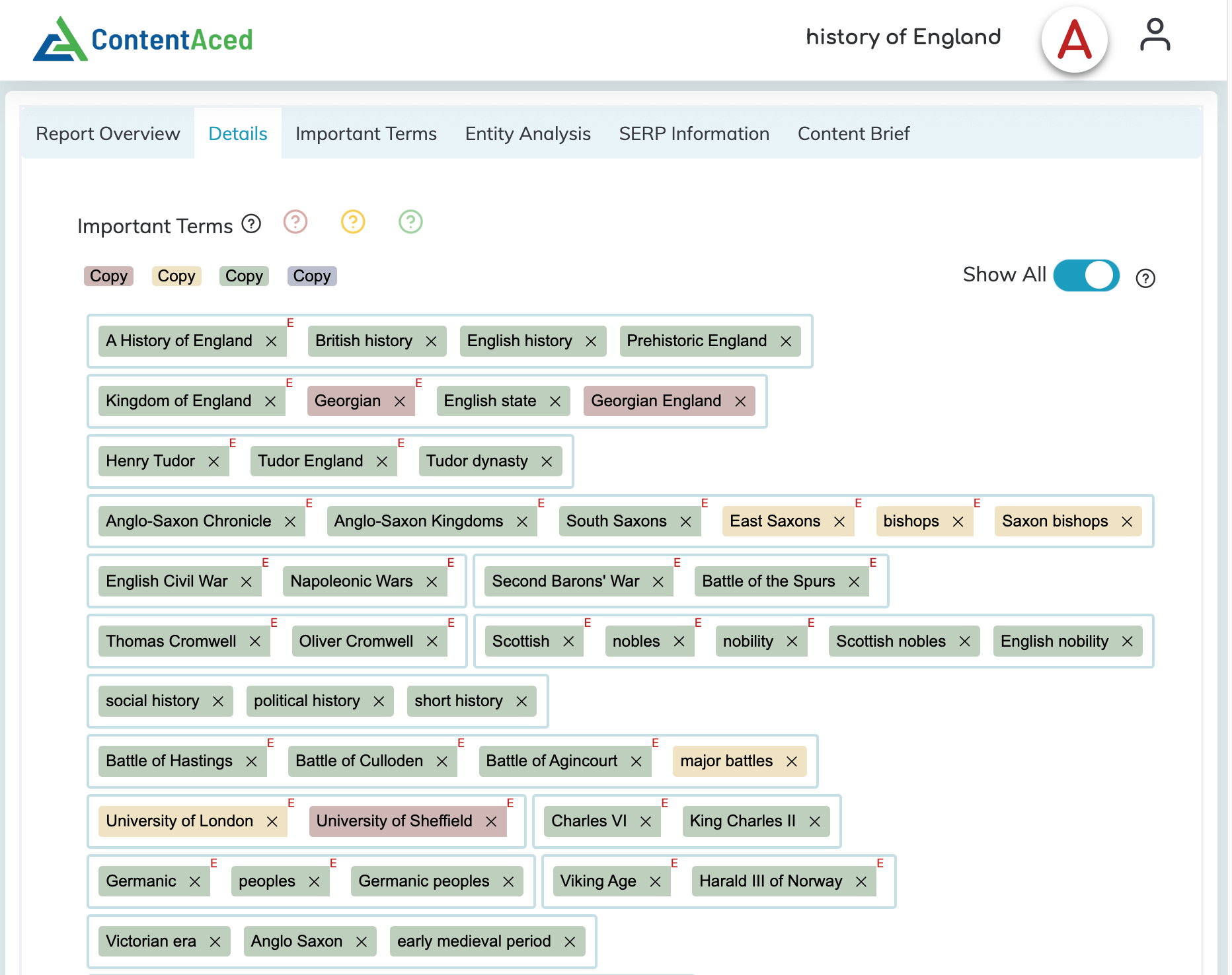 ContentAced : Content Audit